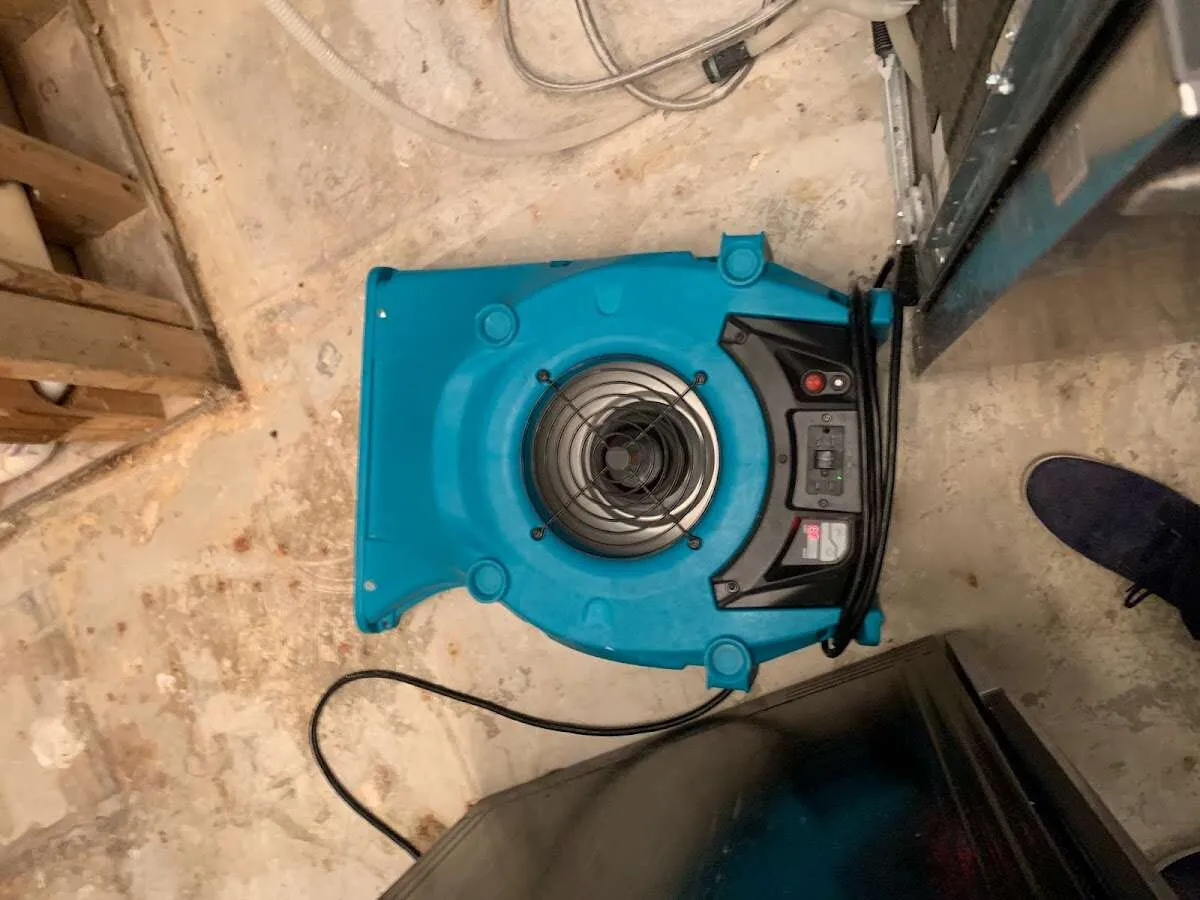 Air mover drying equipment for Mold Remediation & Removal in Baytown